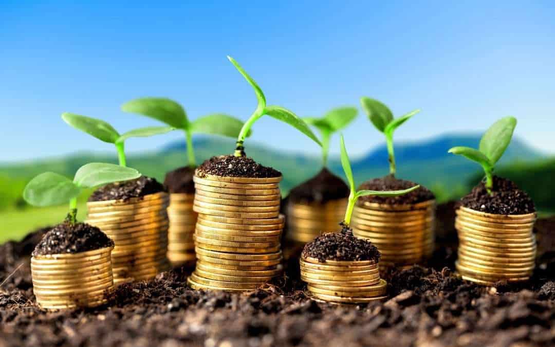 stacks of coins in a garden