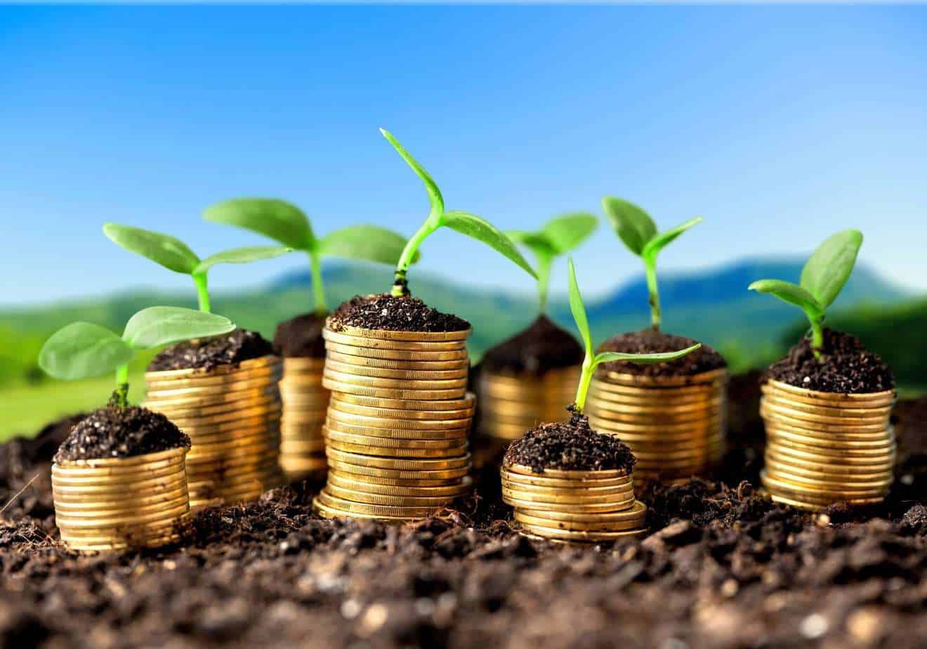 stacks of coins in a garden