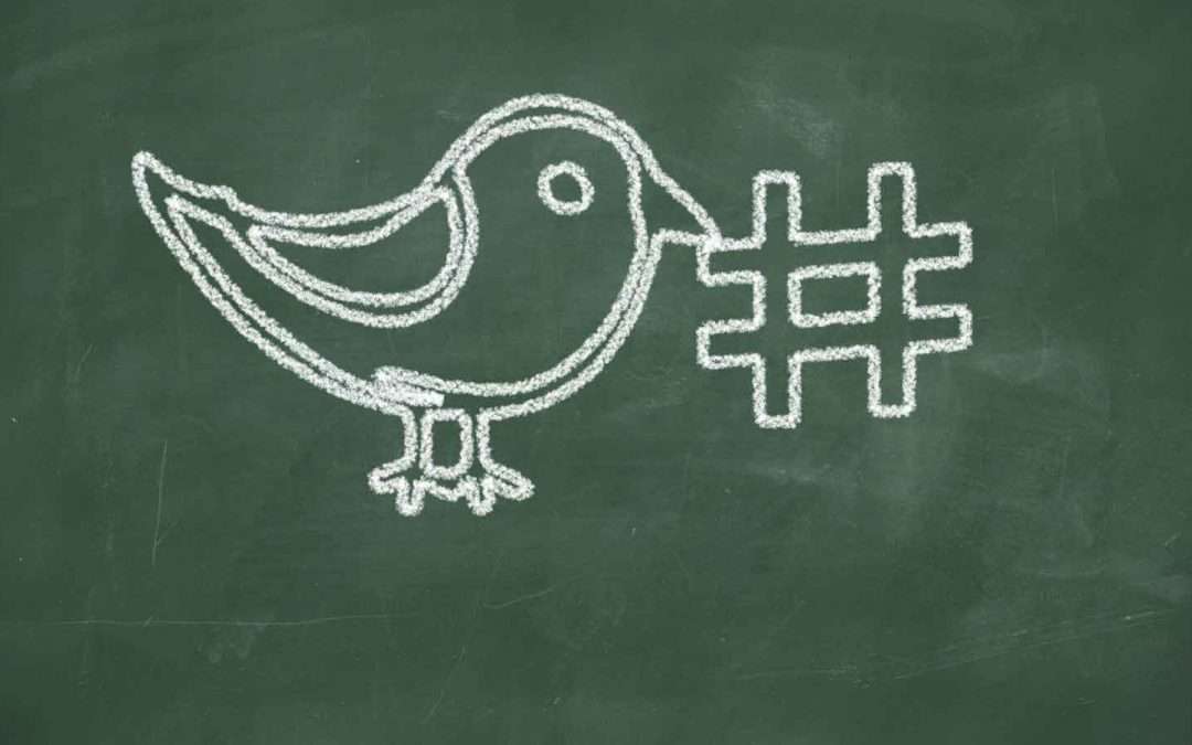 green twitter bird