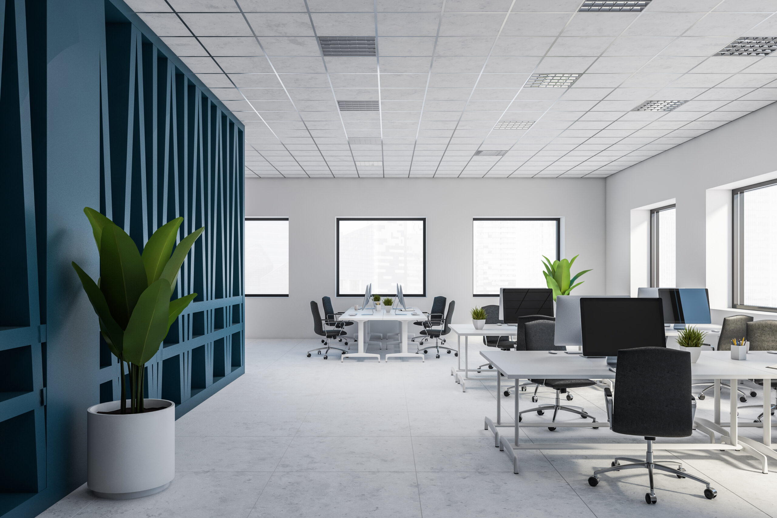 Modern white and blue open space office interior Modern office with desks, chairs, and potted plants, lit by natural light.